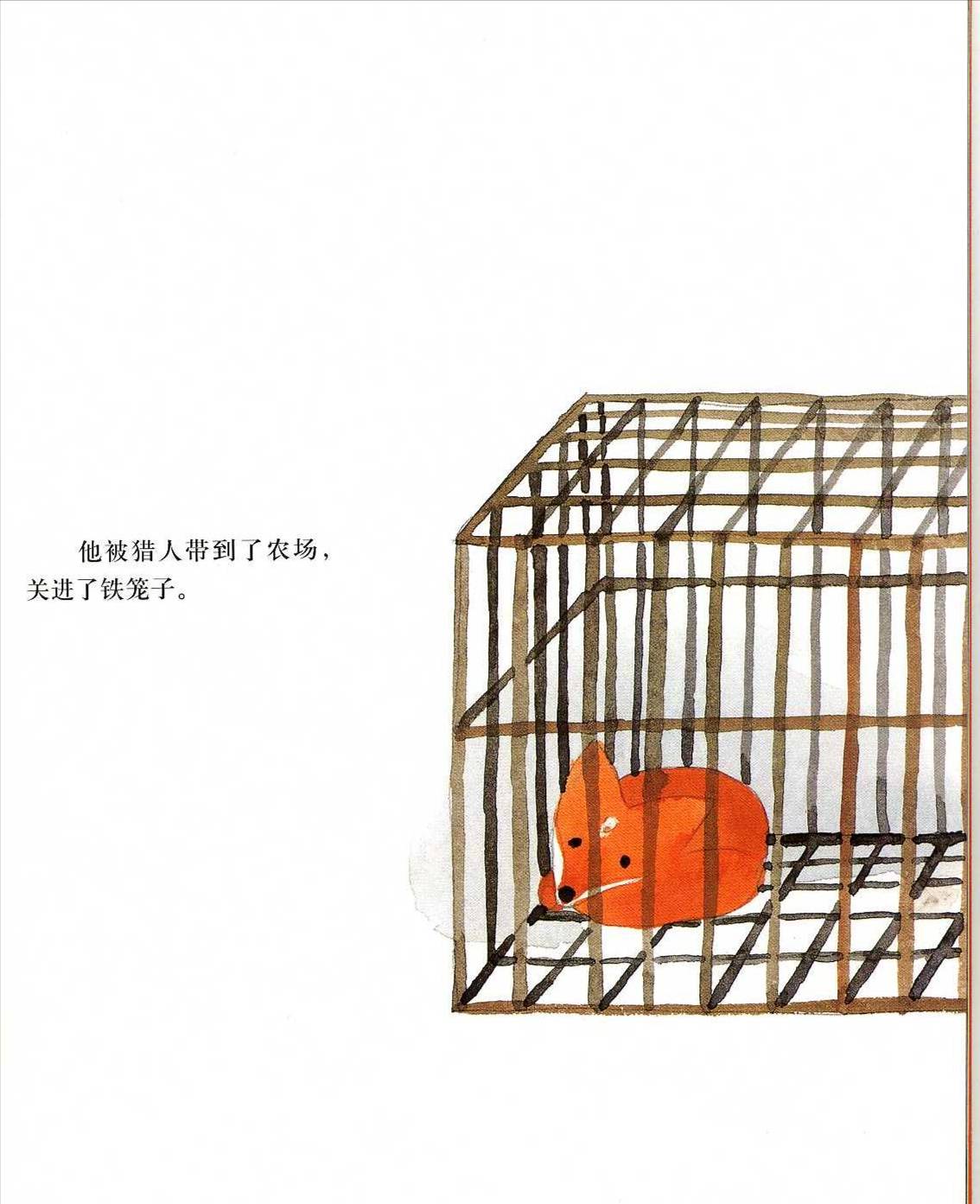火焰 (07),绘本,绘本故事,绘本阅读,故事书,童书,图画书,课外阅读